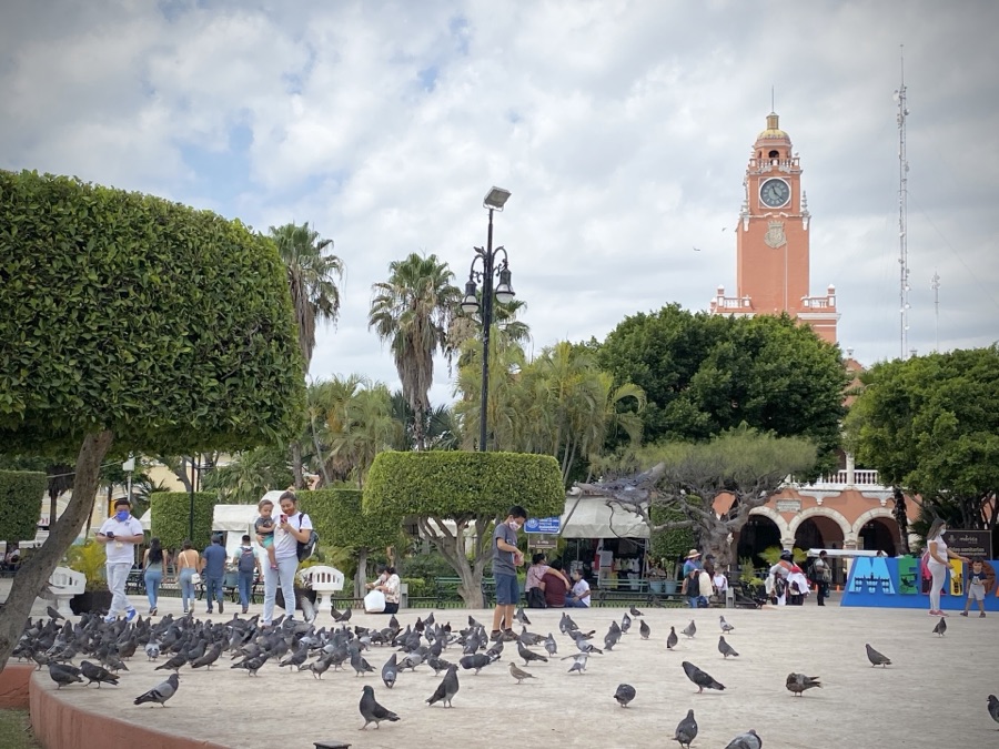 Plaza Grande